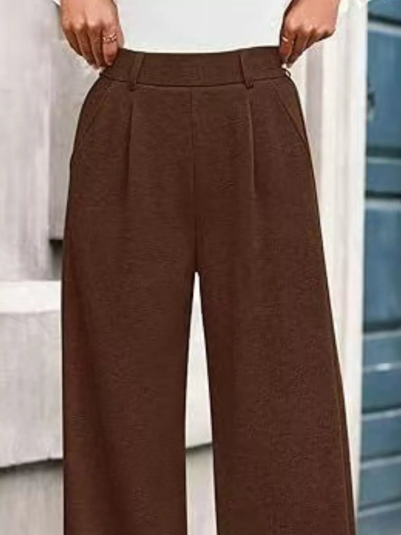 Wide-Leg Pleated Trouser Pants