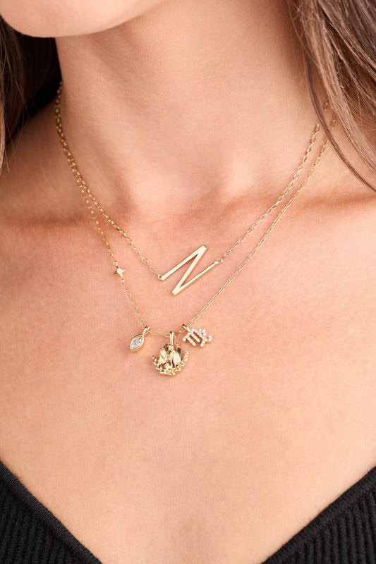 Virgo Zodiac Charm Cluster Necklace - Alex and Ani - Back View