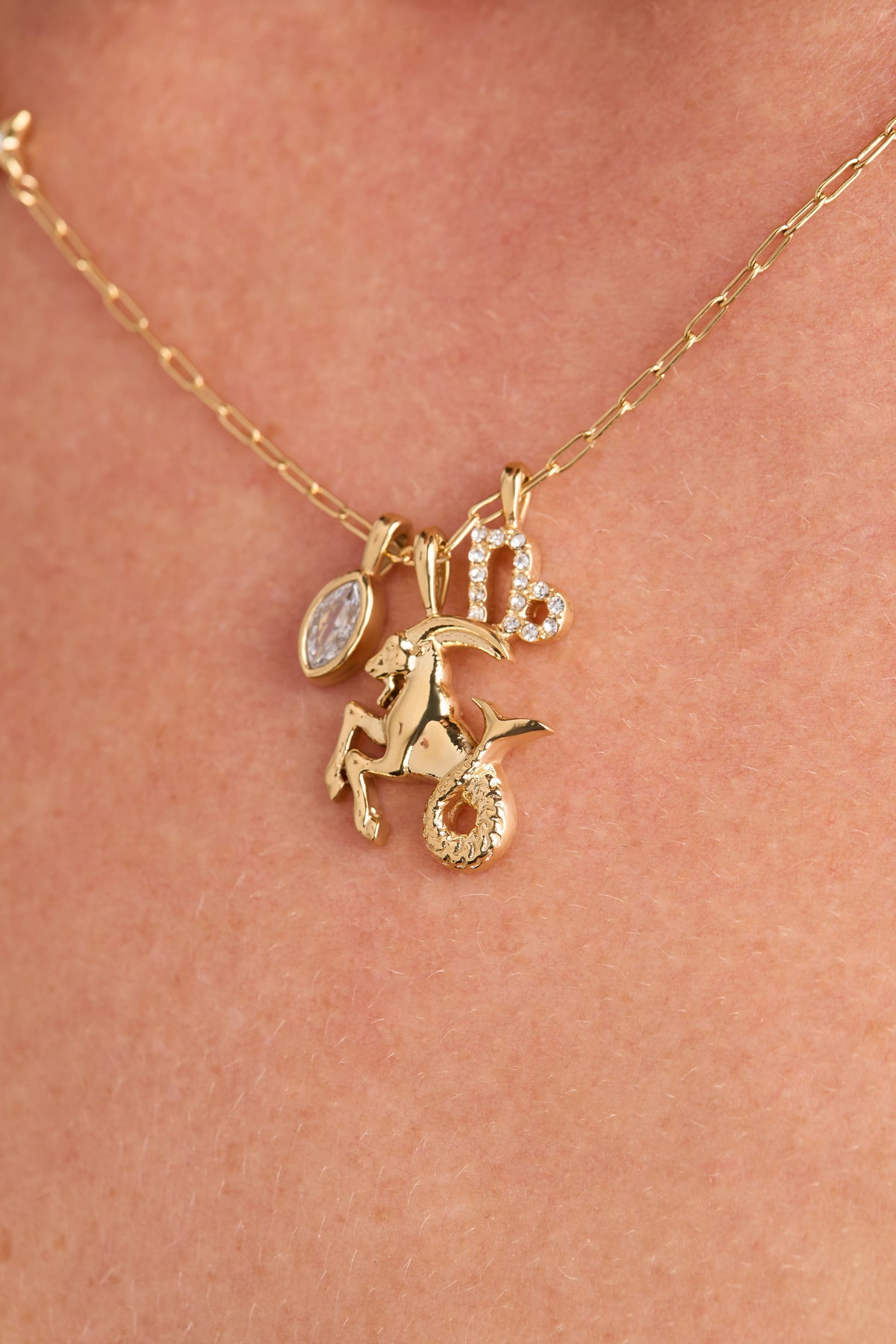 Capricorn Zodiac Charm Cluster Necklace - Alex and Ani - Detail View 4