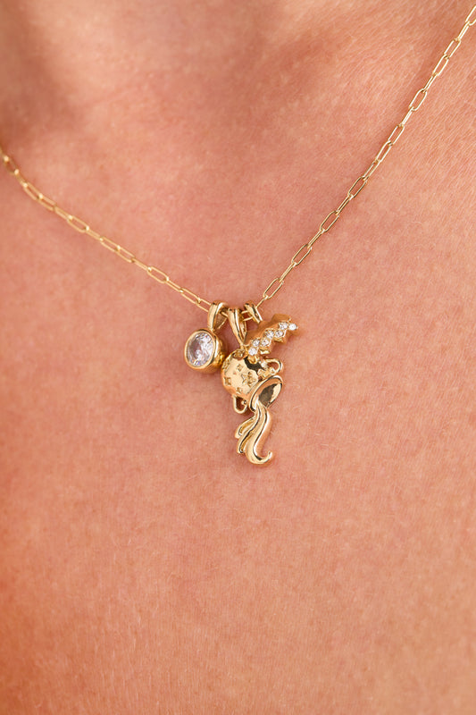 Aquarius Zodiac Charm Cluster Necklace - Alex and Ani - Back View