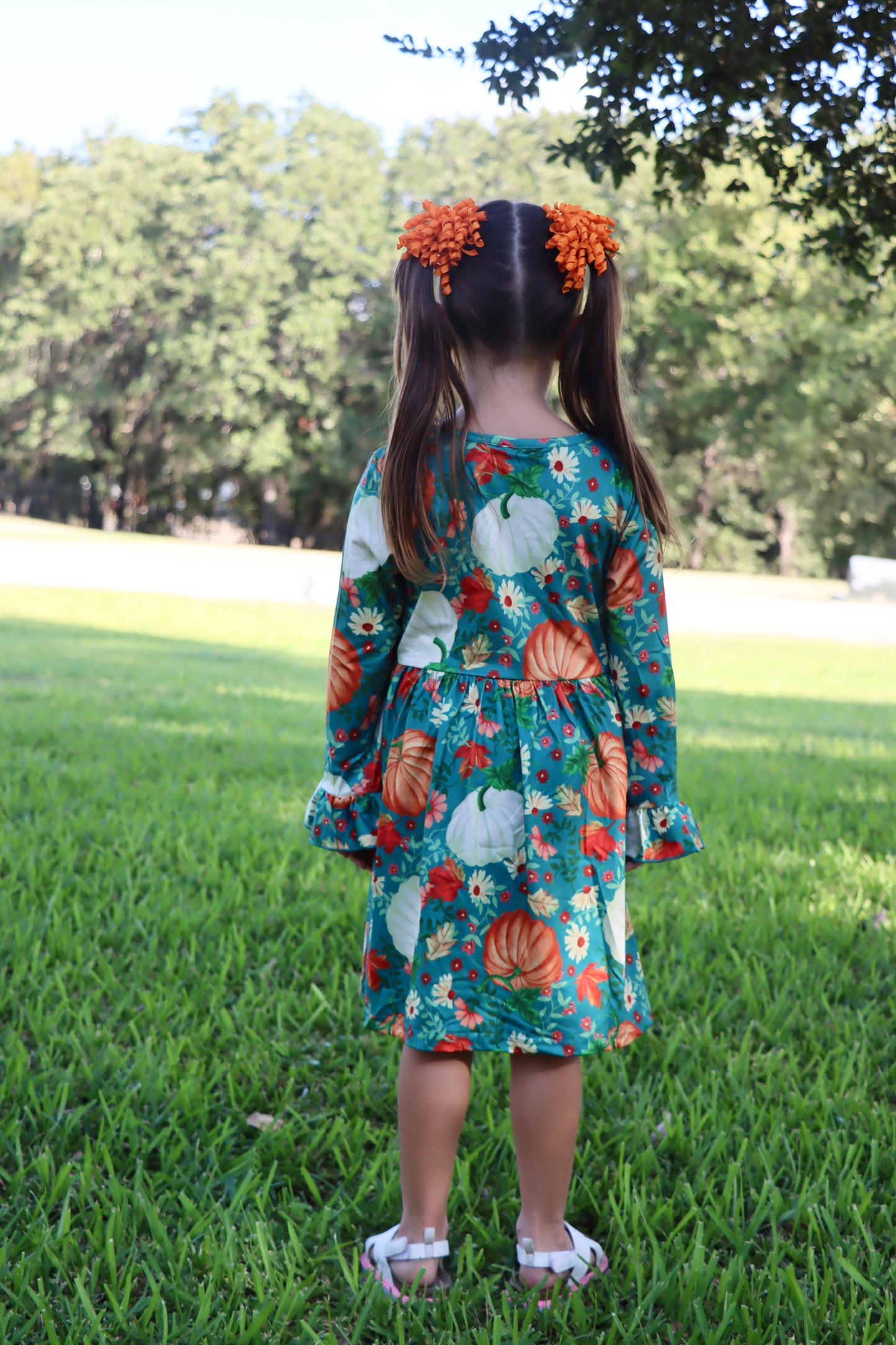 Pumpkin Patch Dress Set (2 Pcs)