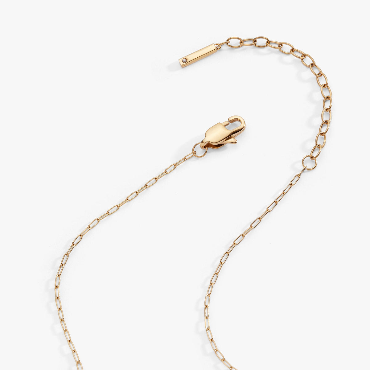 Capricorn Zodiac Charm Cluster Necklace - Alex and Ani - Detail View 5
