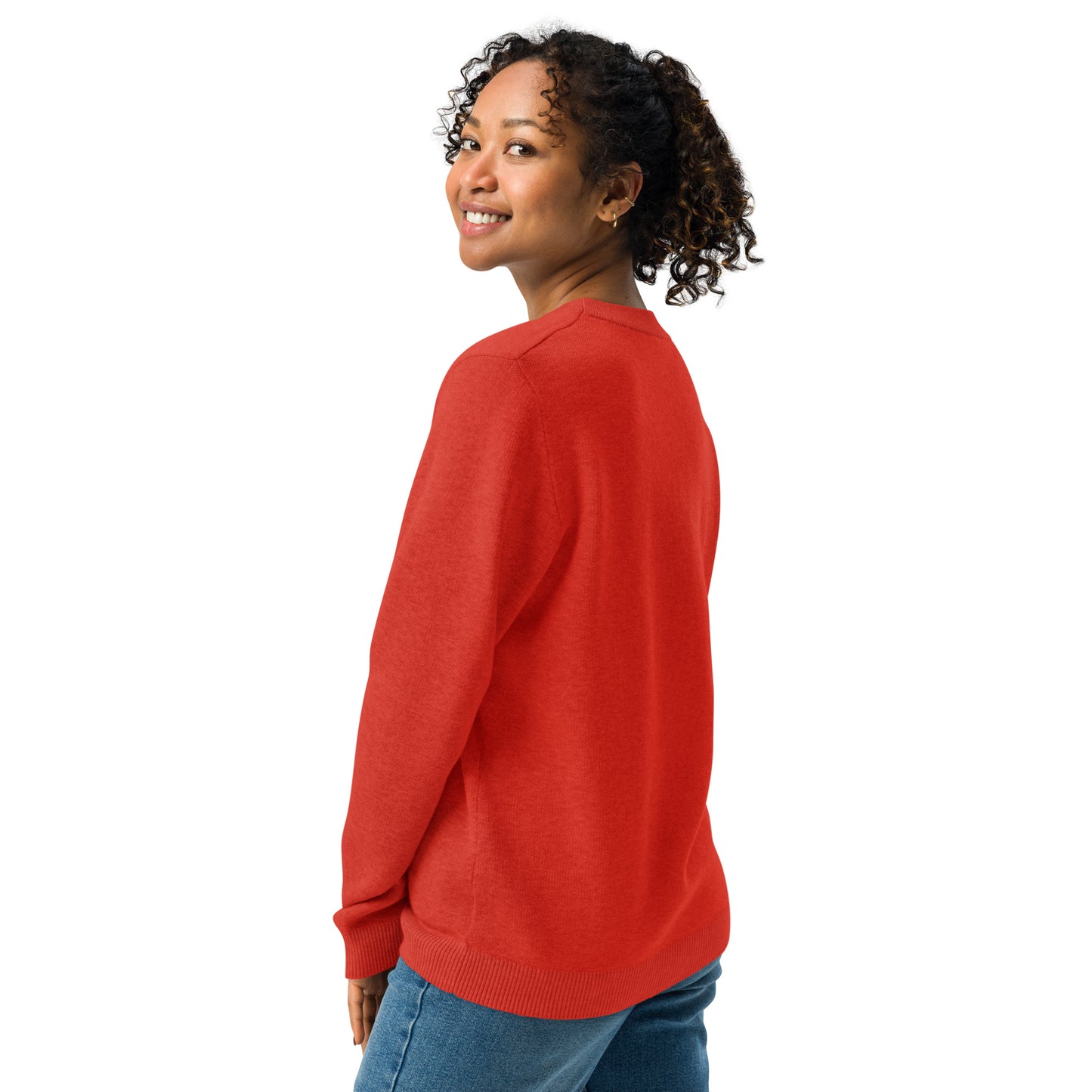 SLEIGH Knitted Sweater