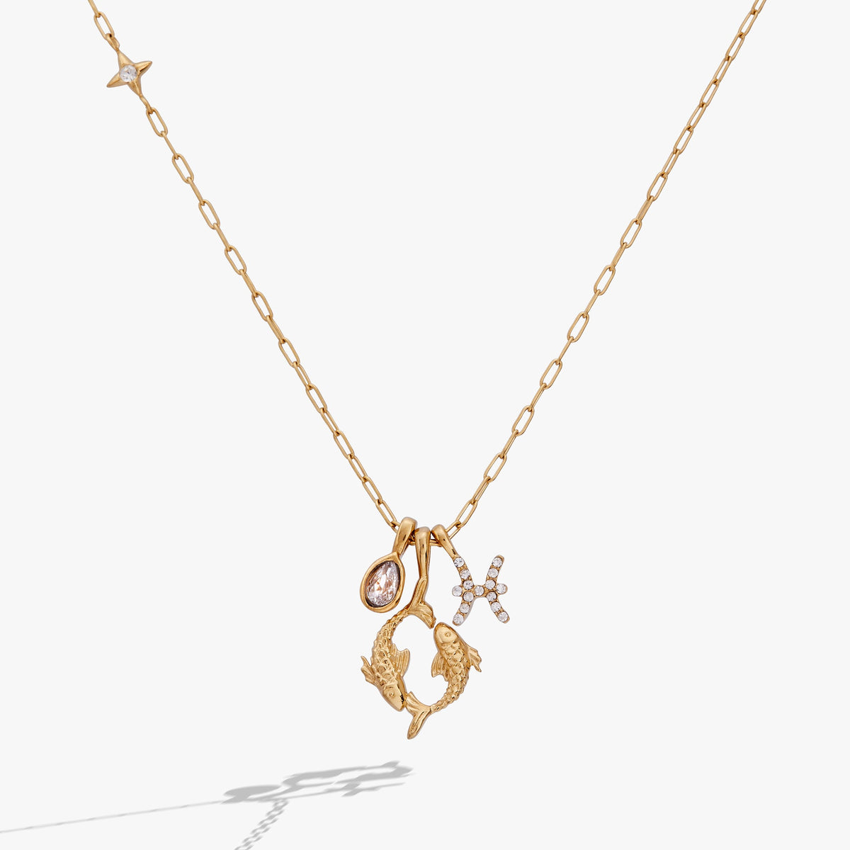 Pisces Zodiac Charm Cluster Necklace - Alex and Ani - Front View