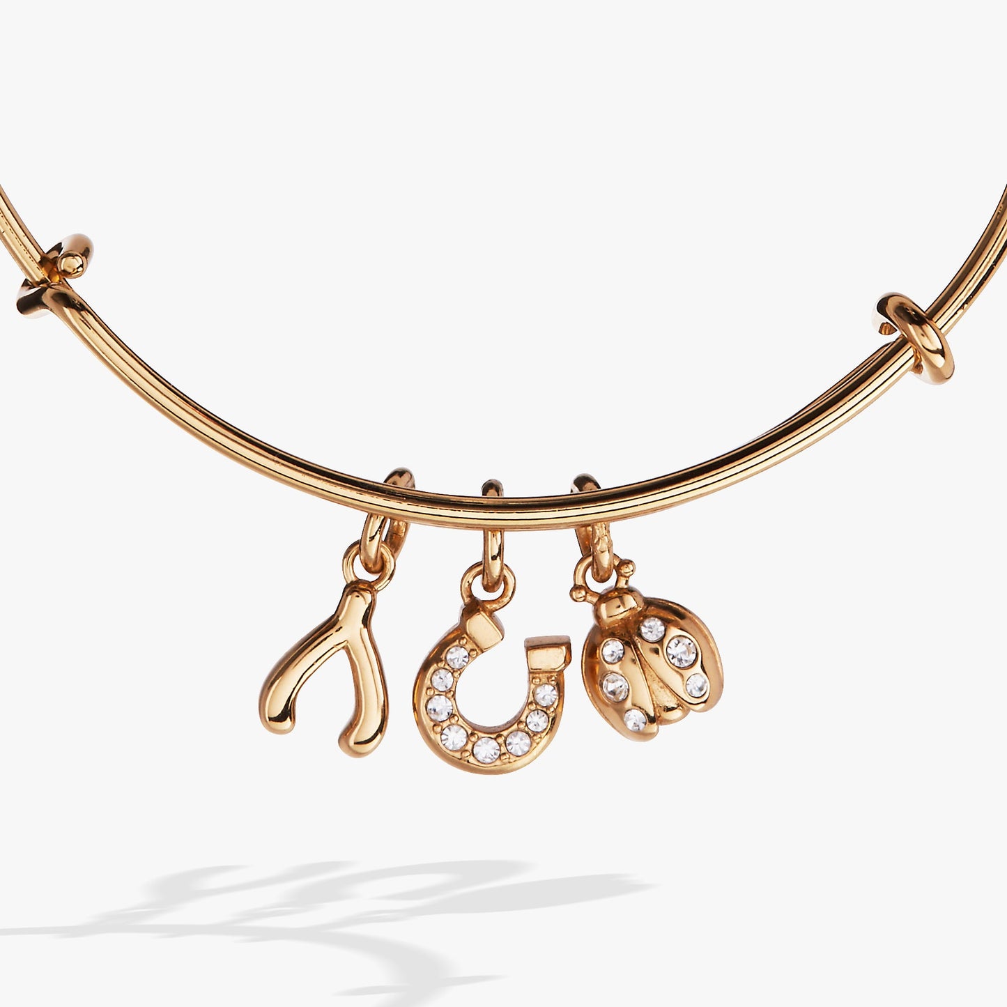 Love and Luck Multi-Charm Bangle - Alex and Ani