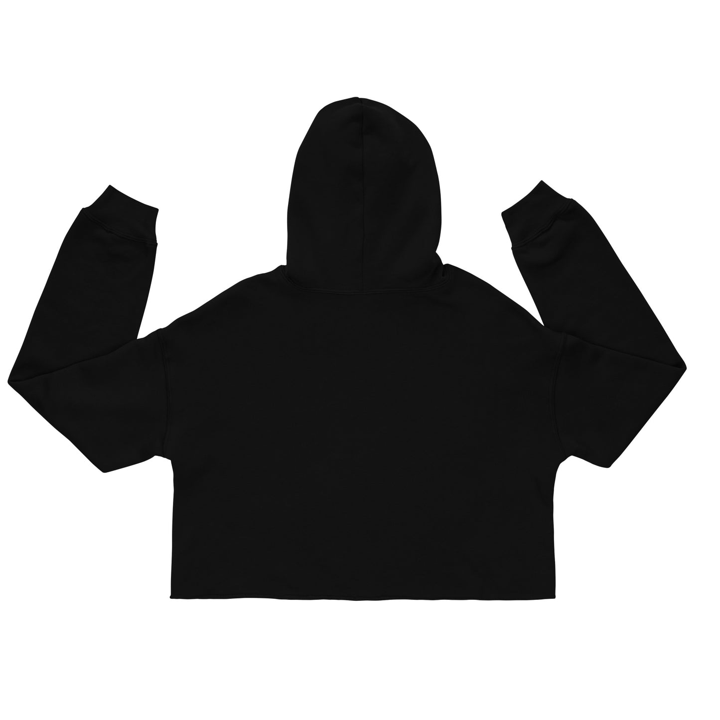 Women's Michigan Crop Hoodie