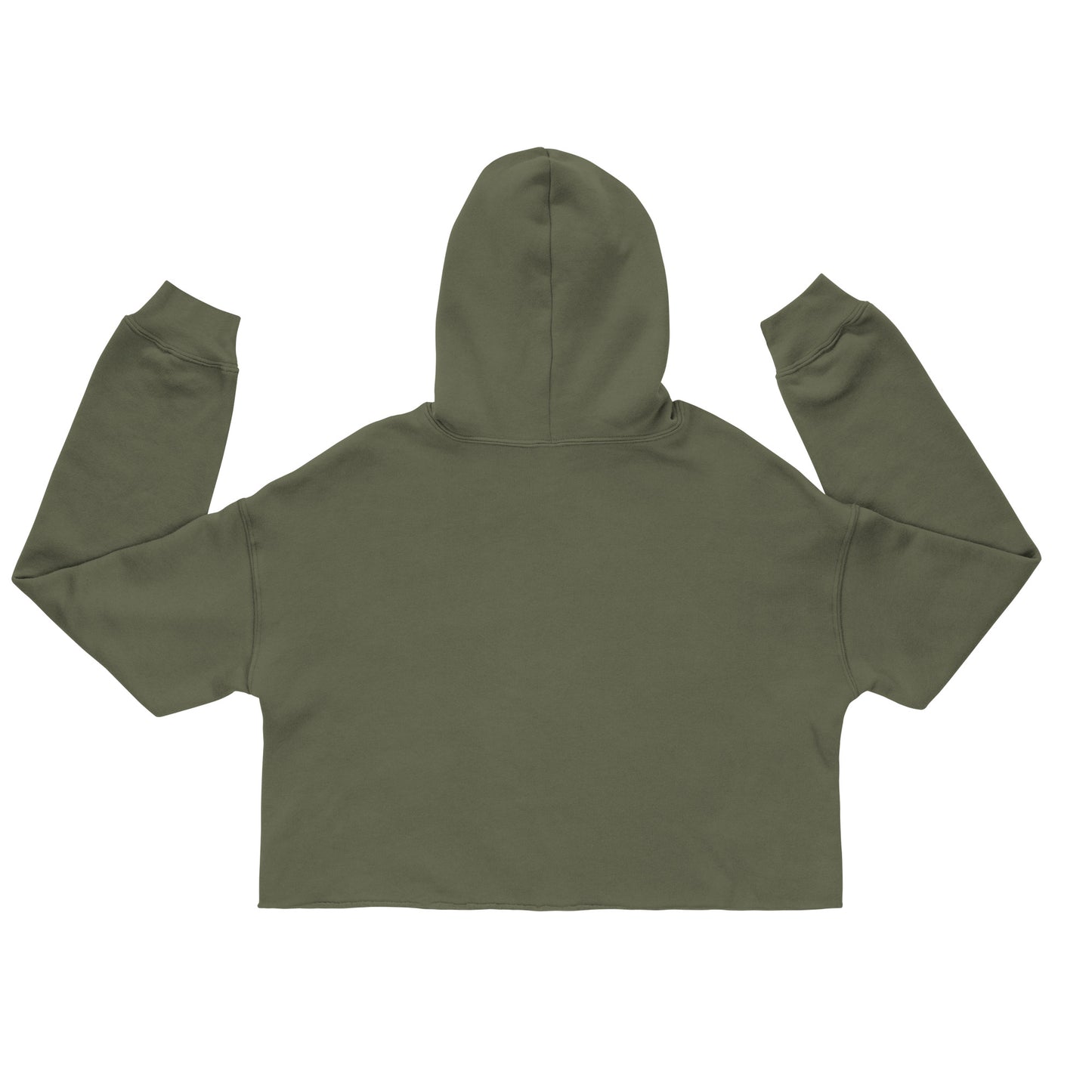 Women's Michigan Crop Hoodie