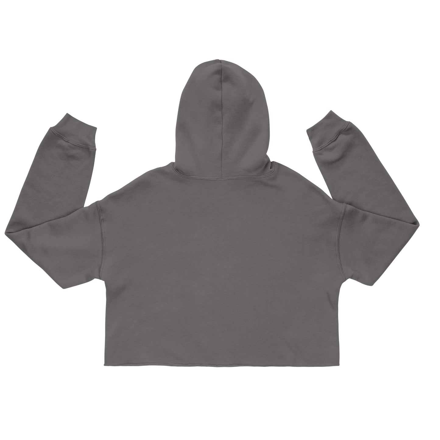 Women's Michigan Crop Hoodie