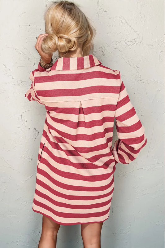 Contrast Stripe Collared Dress - Back View