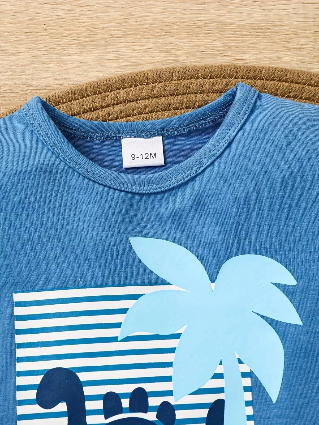 Dinosaur Tee & Striped Shorts Set