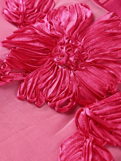 Floral Applique Mesh Midi Dress - Detail View 4