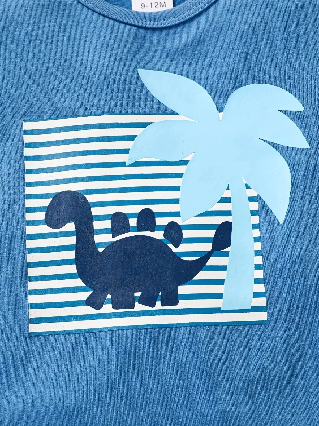 Dinosaur Tee & Striped Shorts Set
