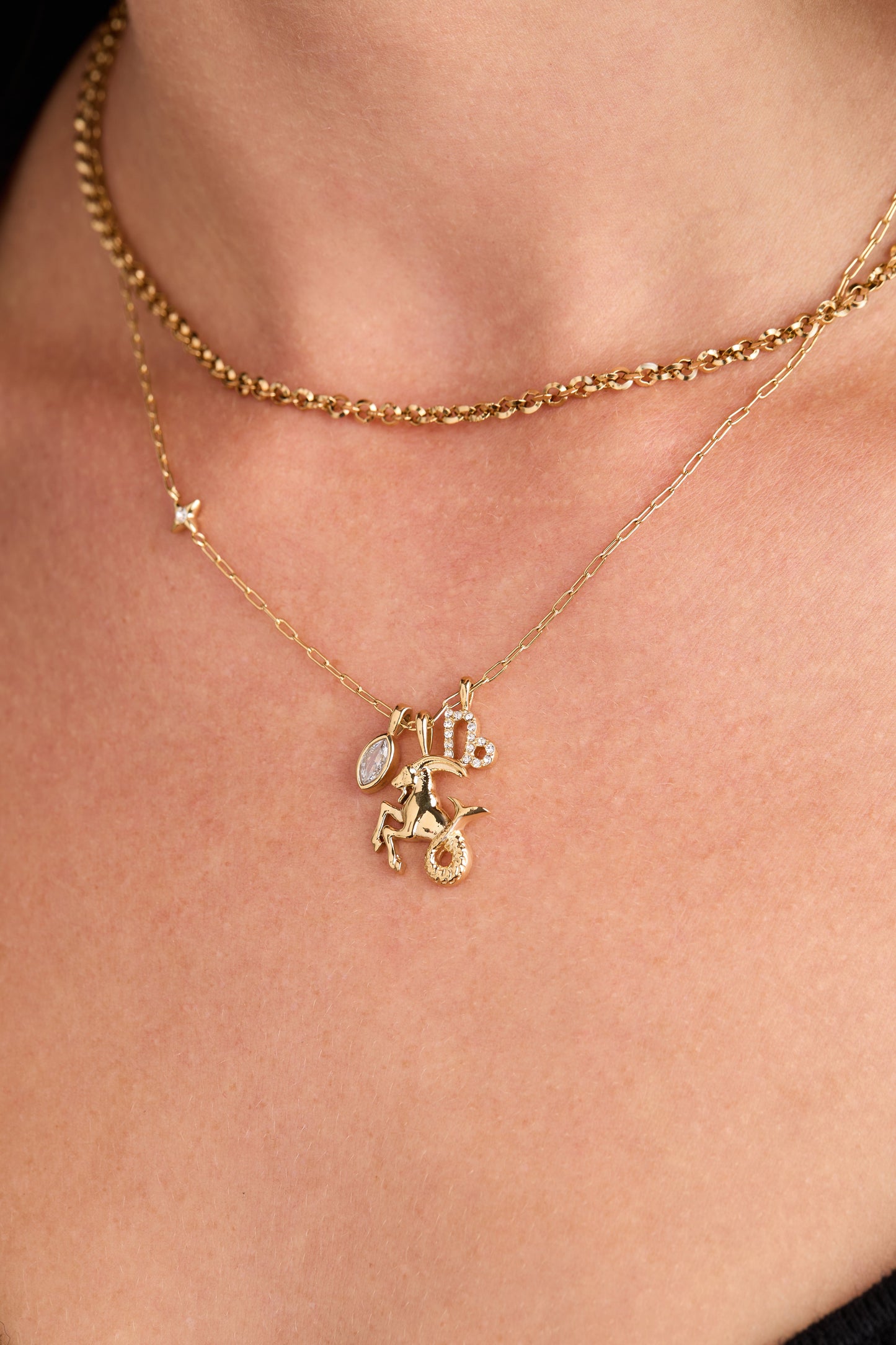 Capricorn Zodiac Charm Cluster Necklace - Alex and Ani