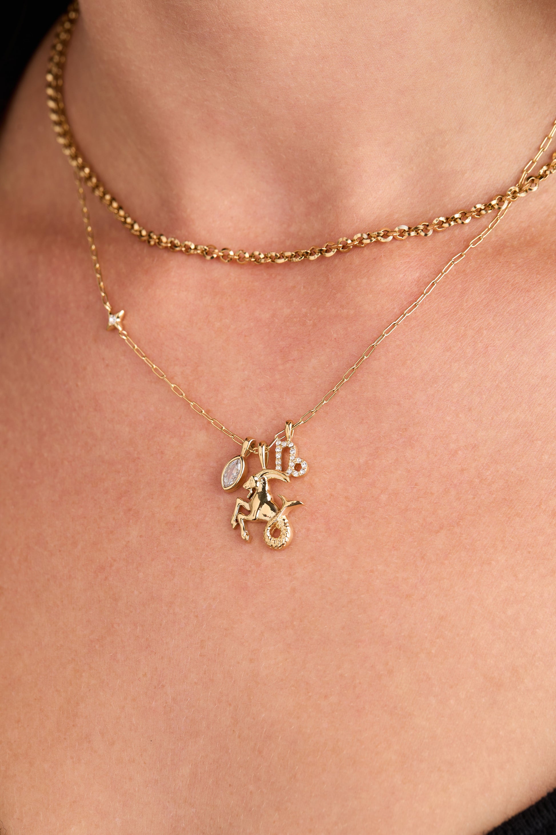 Capricorn Zodiac Charm Cluster Necklace - Alex and Ani - Back View