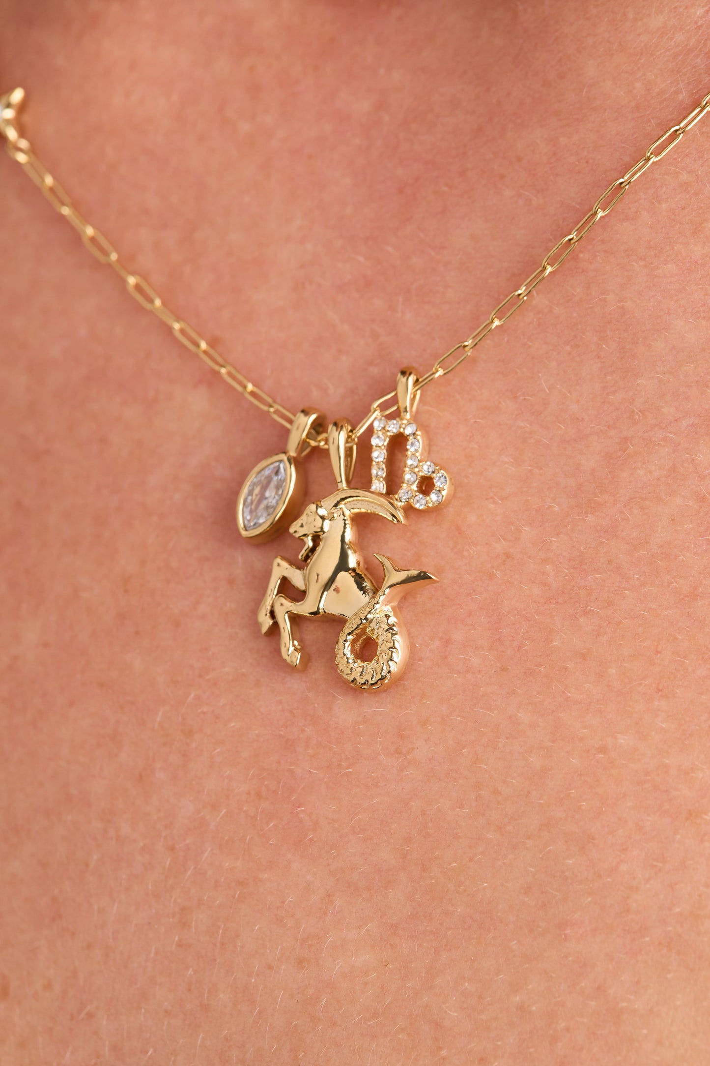 Capricorn Zodiac Charm Cluster Necklace - Alex and Ani