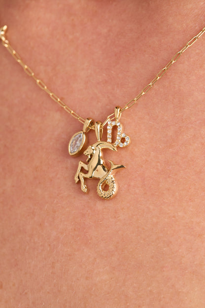 Capricorn Zodiac Charm Cluster Necklace - Alex and Ani - Detail View 4
