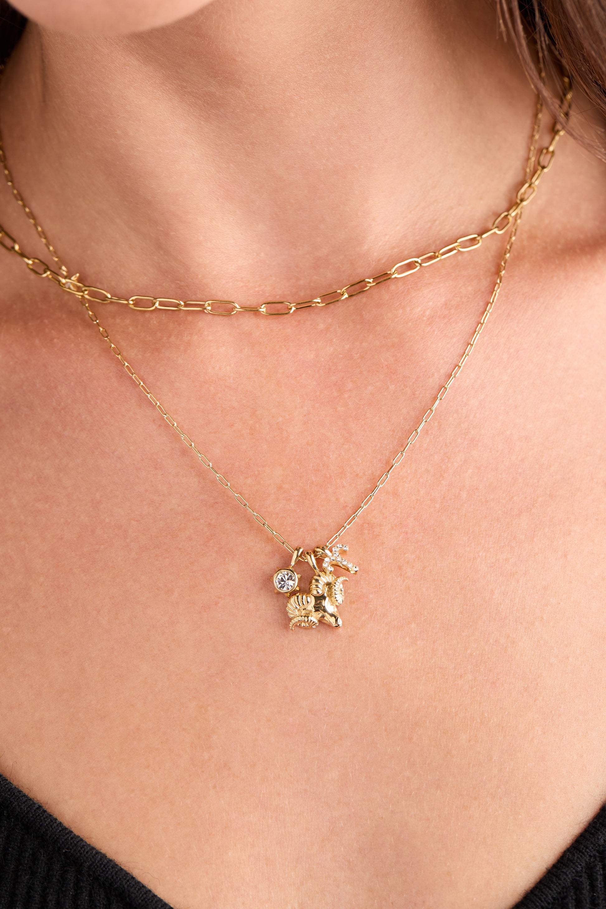 Paperclip Charm & Layering Necklace - Alex and Ani - Detail View 4