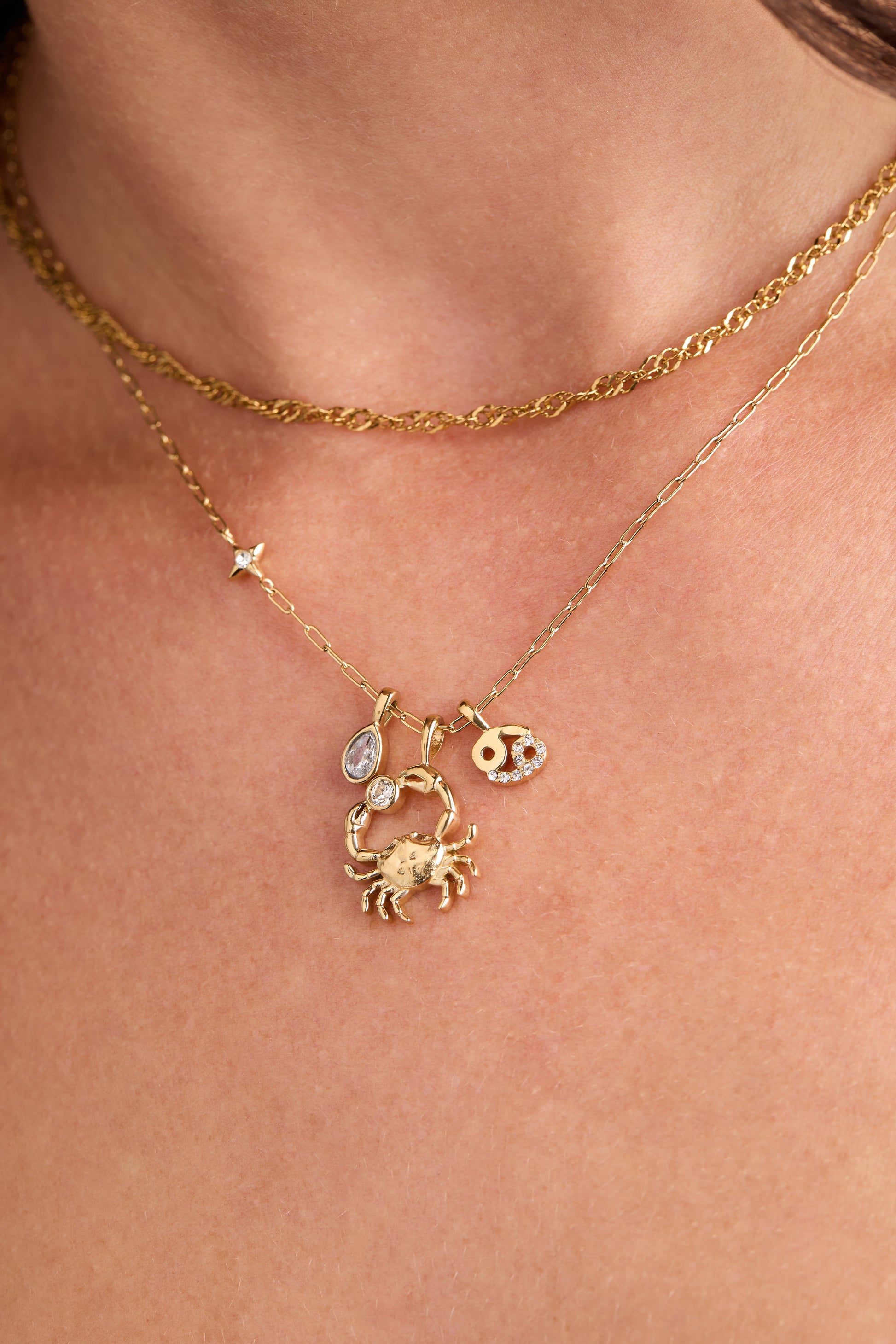 Cancer Zodiac Charm Cluster Necklace - Back View