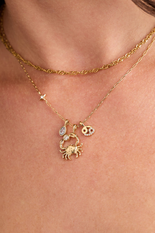 Cancer Zodiac Charm Cluster Necklace - Back View