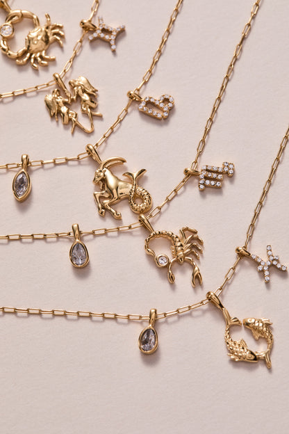 Pisces Zodiac Charm Cluster Necklace - Alex and Ani - Detail View 6