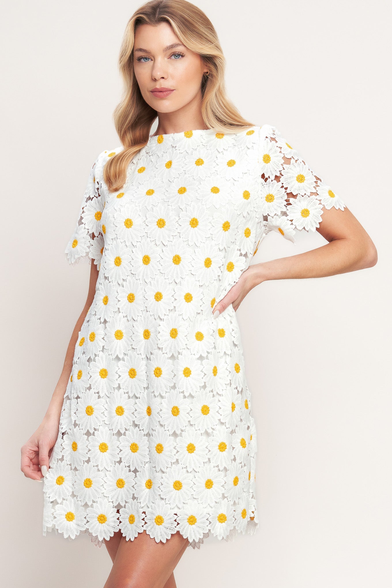 DAISIES AND DAYDREAMS WOVEN LACE MINI DRESS - Back View