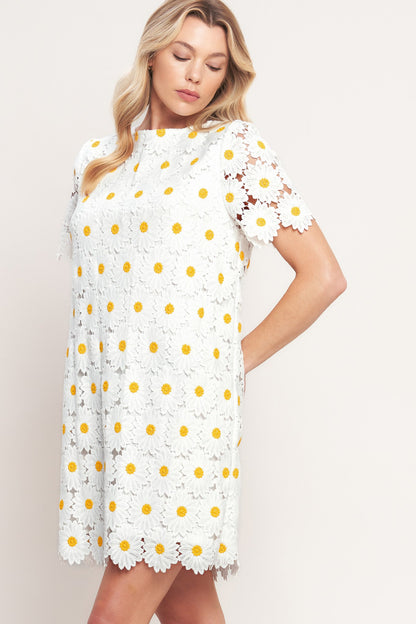 DAISIES AND DAYDREAMS WOVEN LACE MINI DRESS - Side View