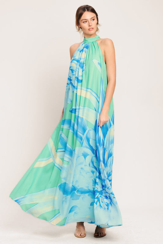 BLUE HORIZON WOVEN MAXI DRESS - Front View