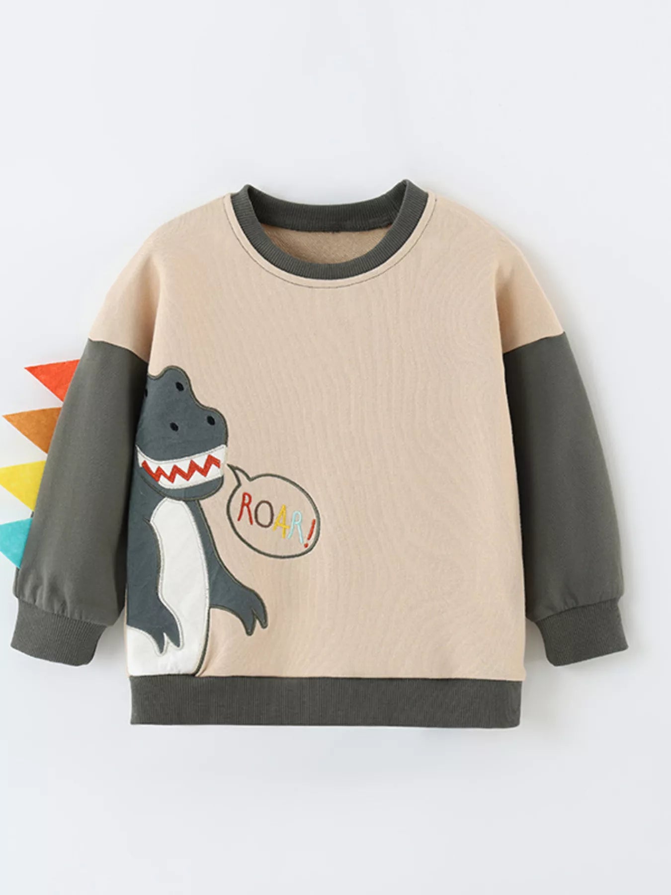 Children's Dinosaur Sweatshirt - Front View