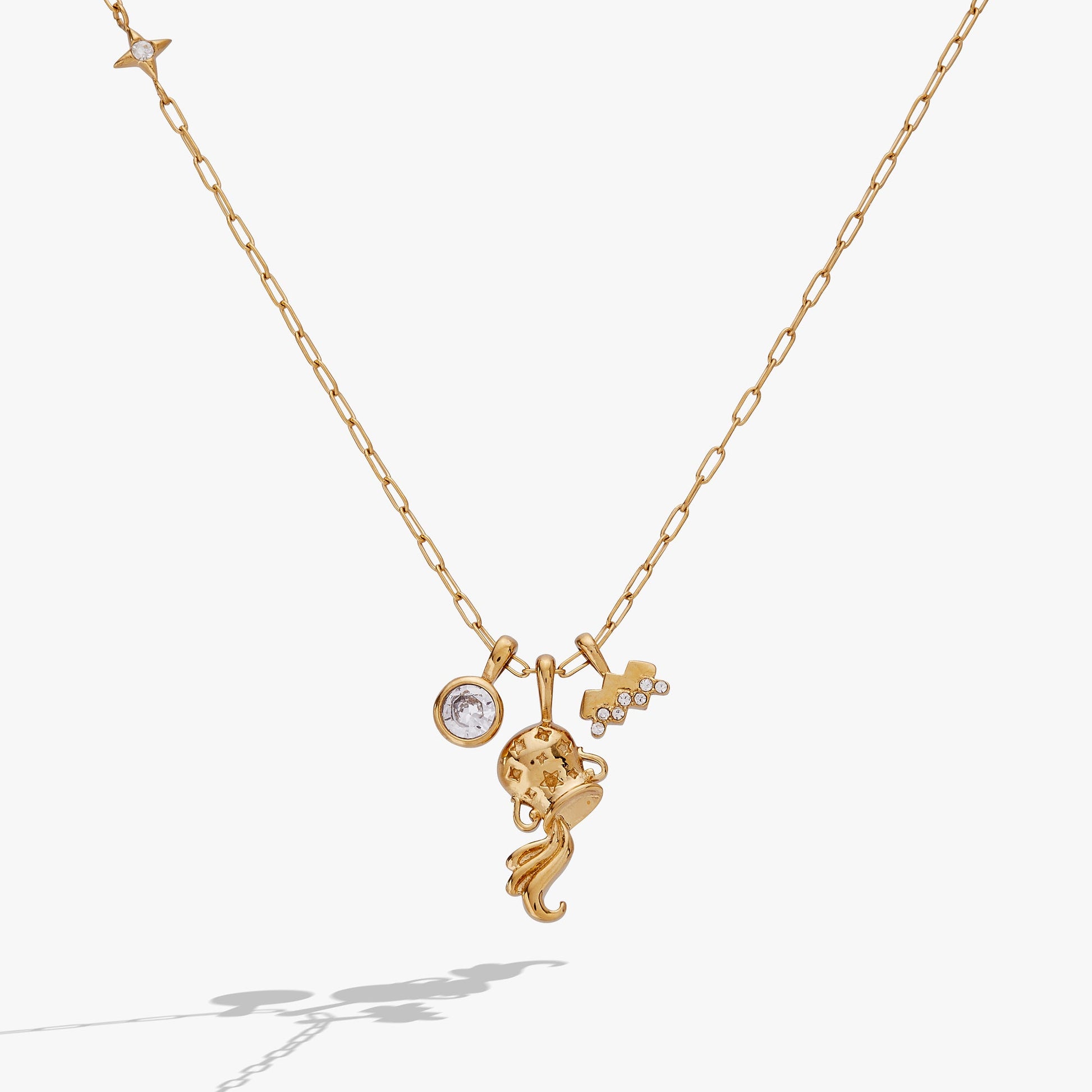 Aquarius Zodiac Charm Cluster Necklace - Alex and Ani - Front View