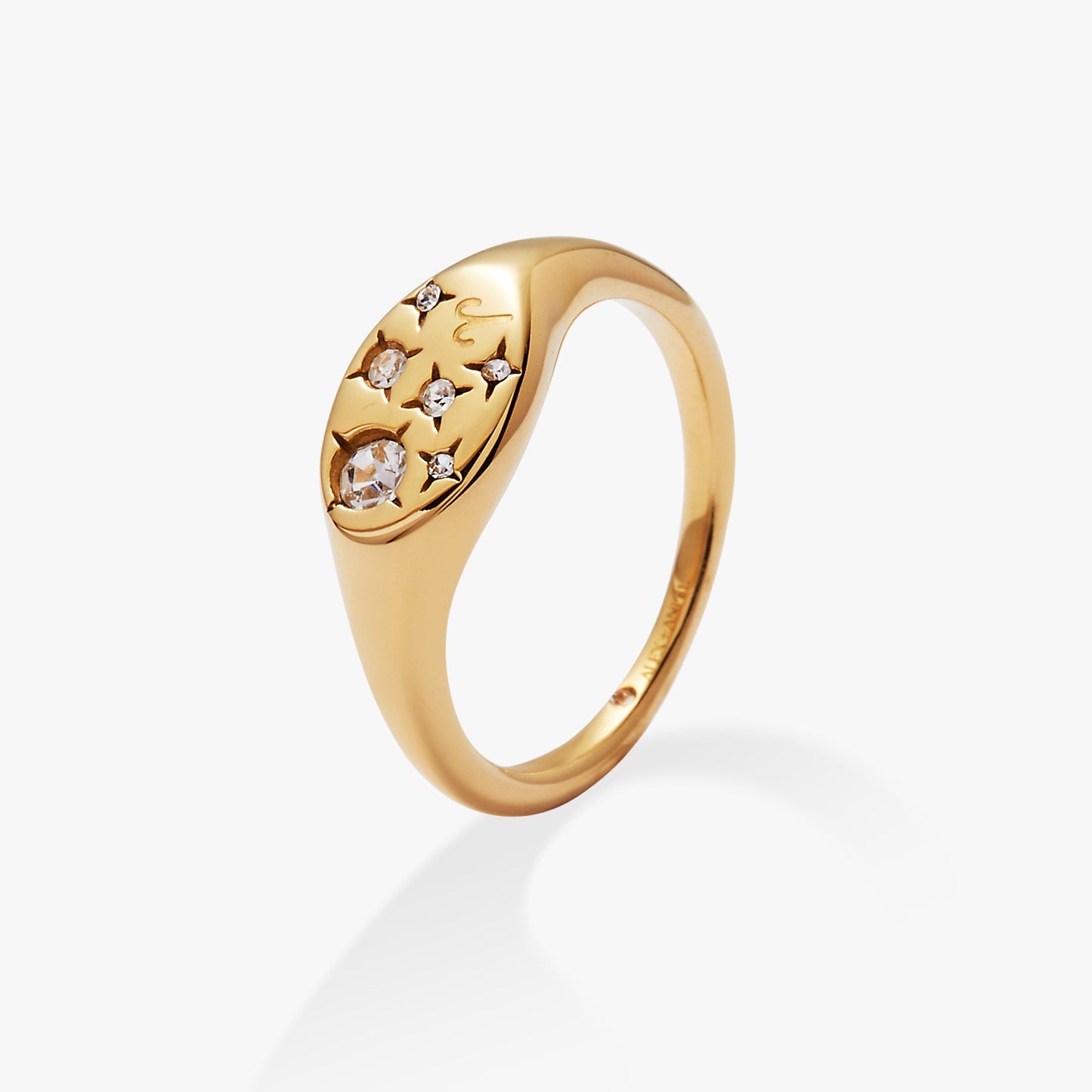 Aries Zodiac Ring - Alex and Ani