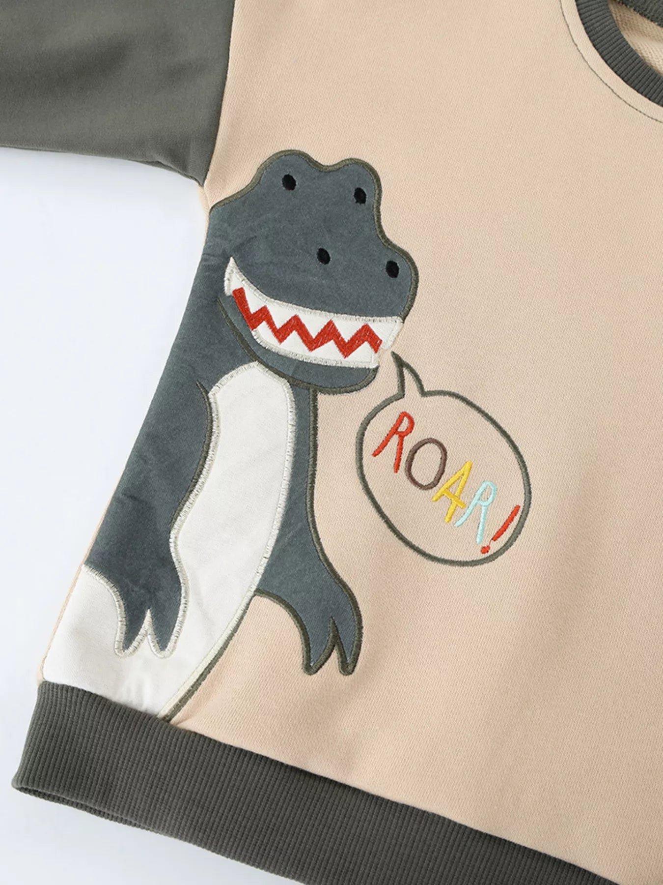 Children's Dinosaur Sweatshirt - Back View