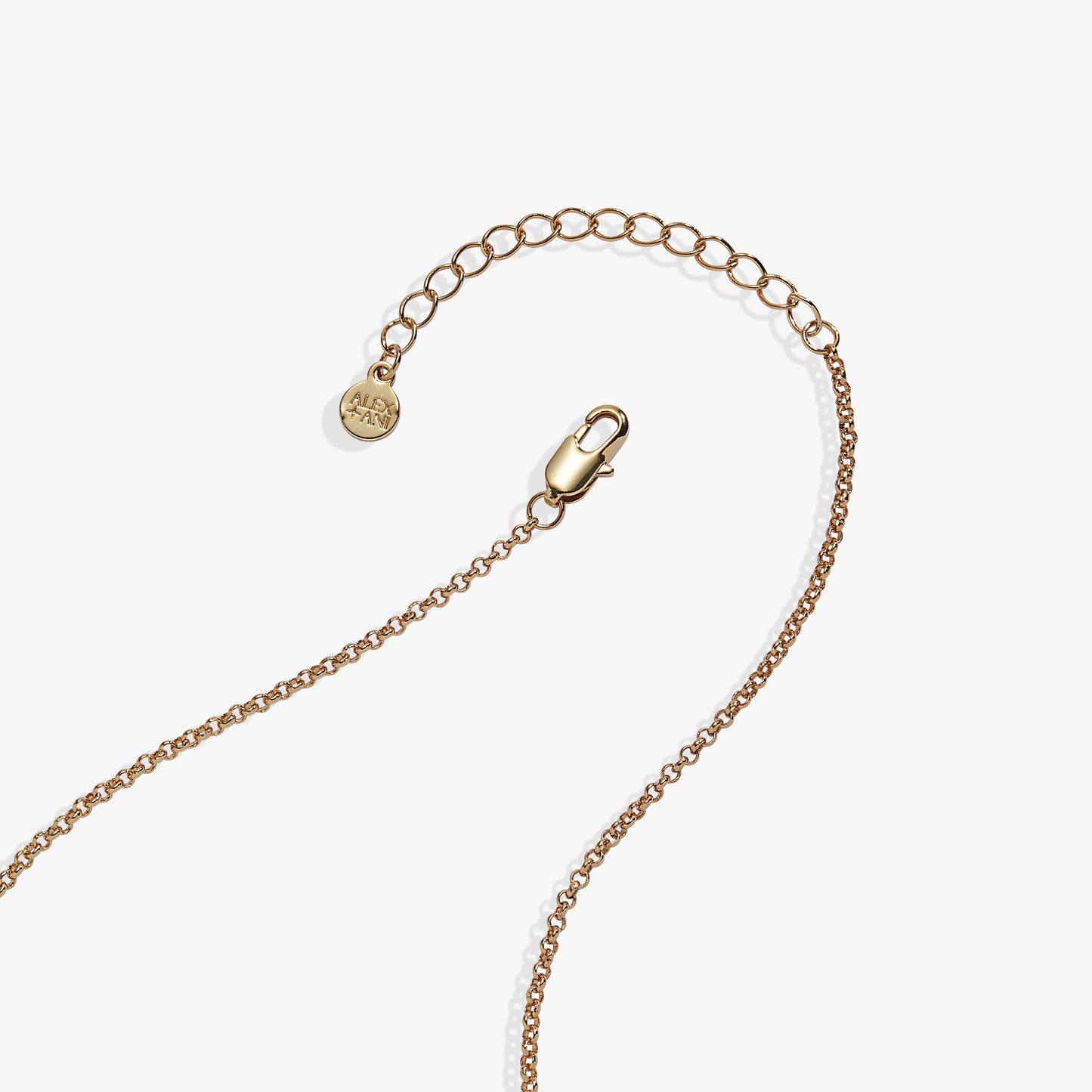 Book Club Locket Pendant - Alex and Ani