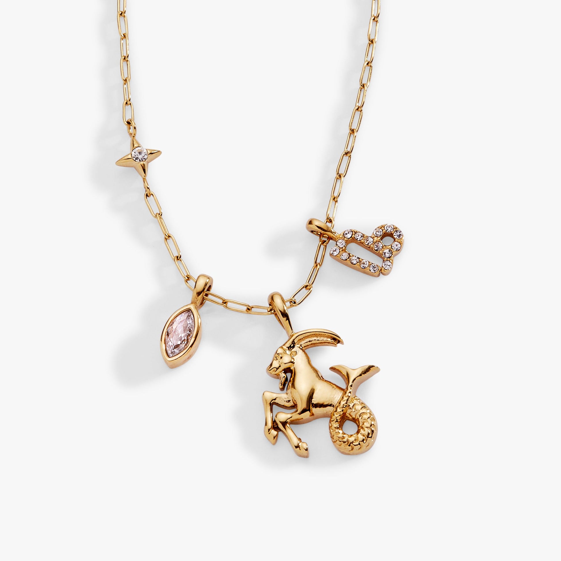 Capricorn Zodiac Charm Cluster Necklace - Alex and Ani - Side View