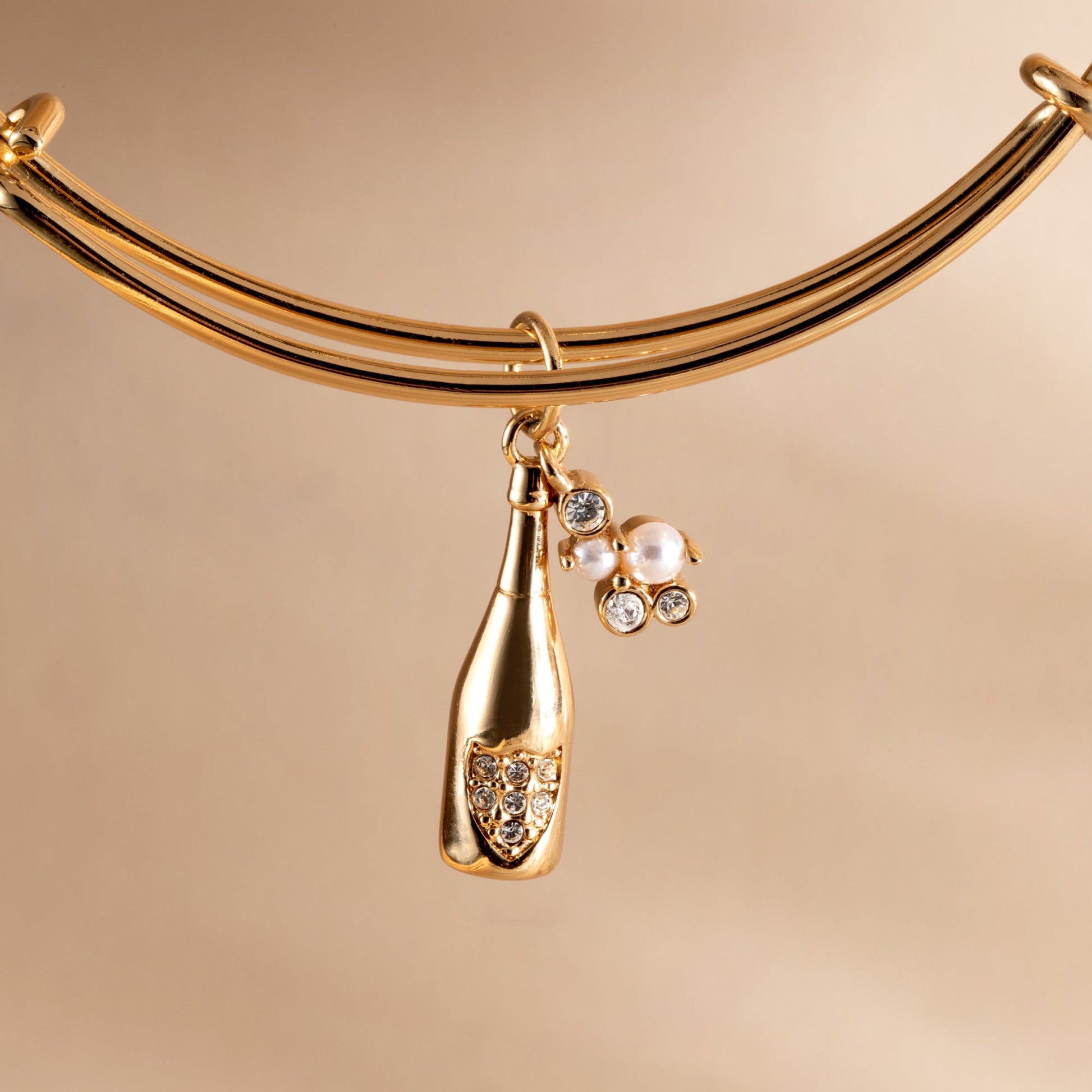 Champagne Bangle - Alex and Ani - Side View