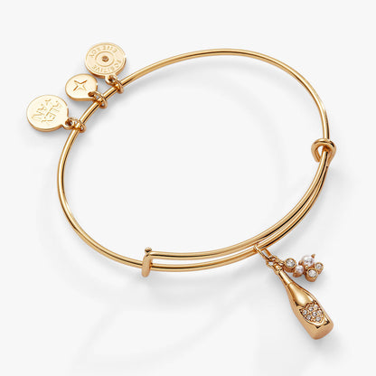 Champagne Bangle - Alex and Ani - Back View
