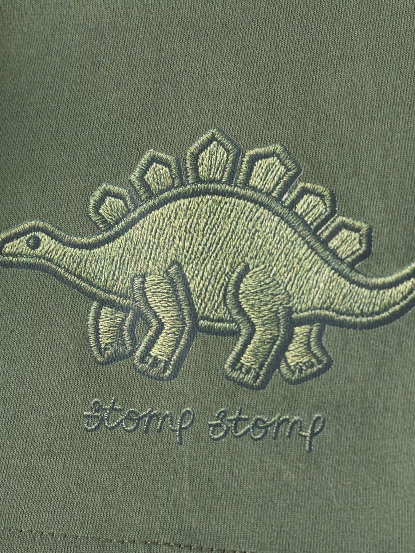 Dino T-Shirt & Shorts Set