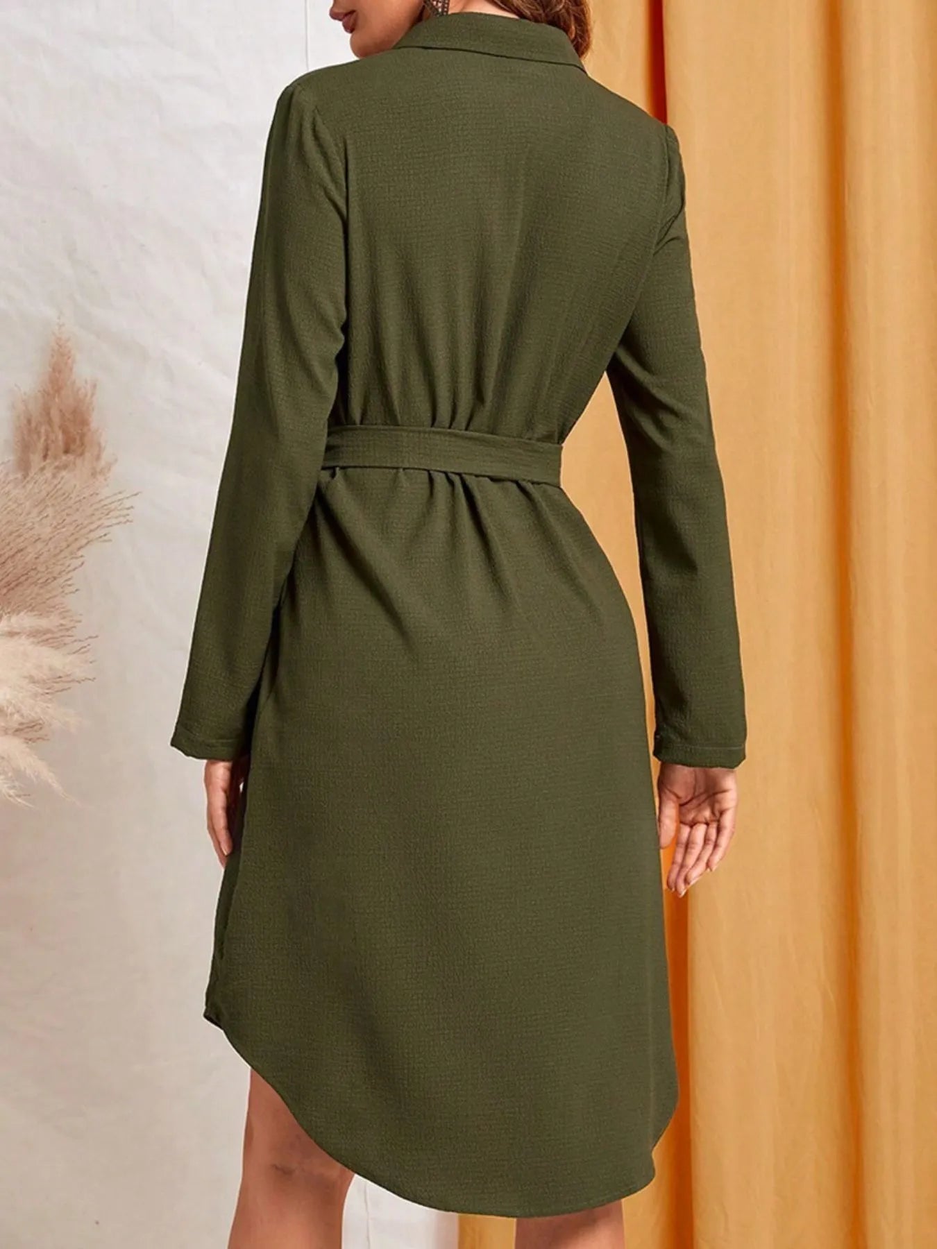 Button-Down Belted Shirt Dress