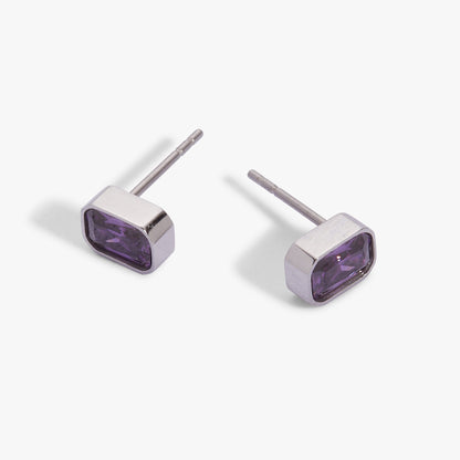Amethyst February Birthstone Stud Earrings - Alex and Ani - Back View
