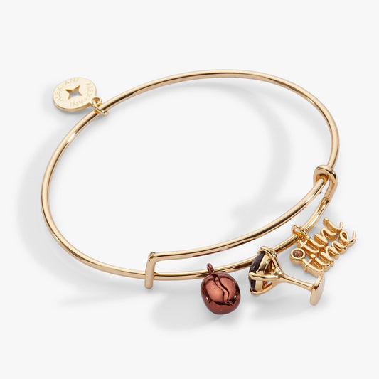 Espresso Martini Multi Charm Bangle - Alex and Ani - Front View