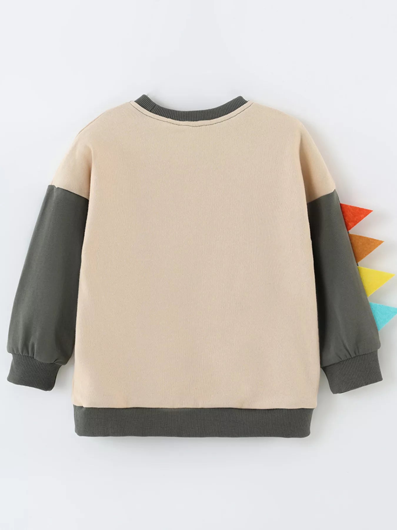 Children's Dinosaur Sweatshirt - Detail View 5
