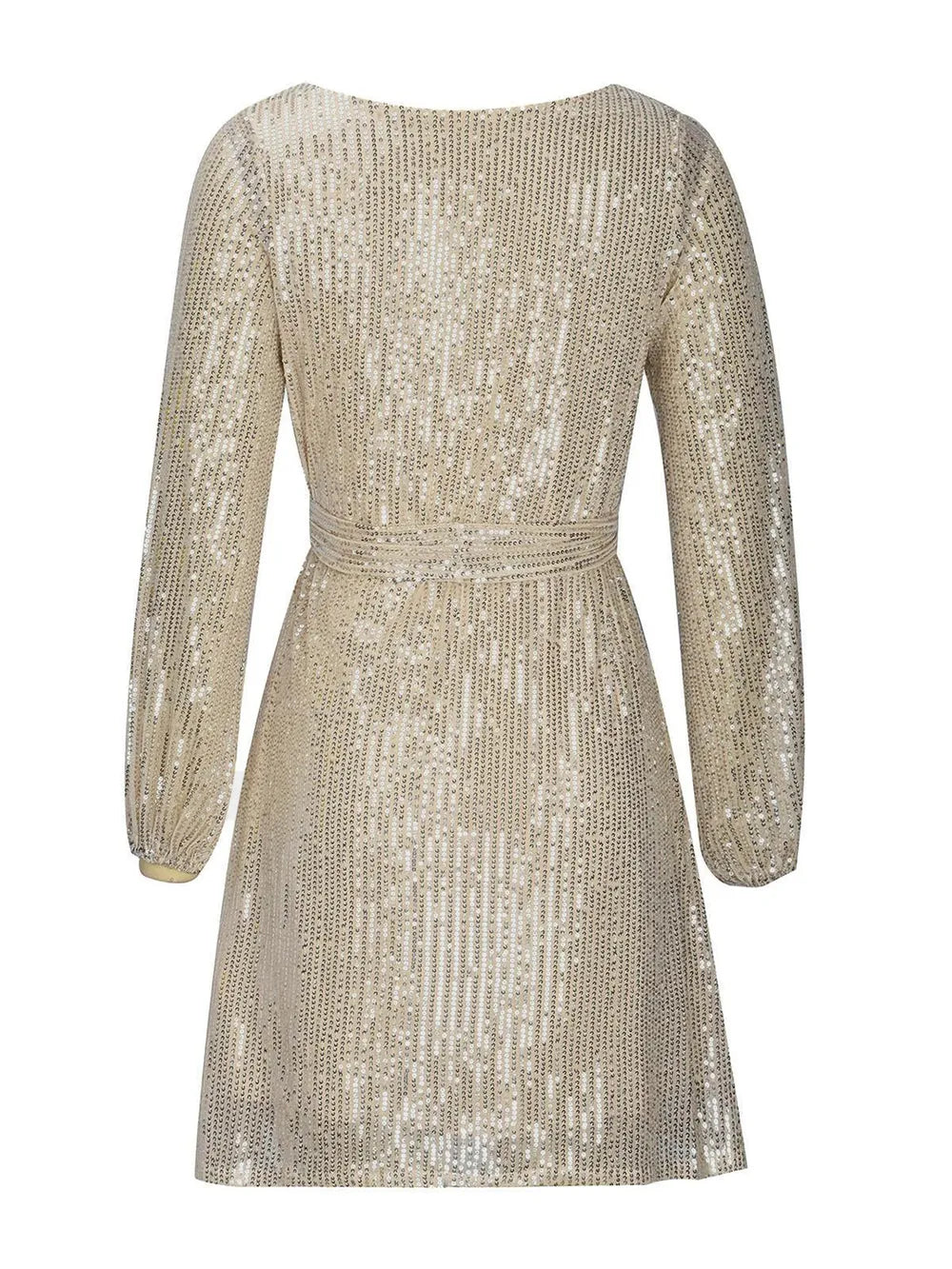 Sequin Tie Waist Mini Dress