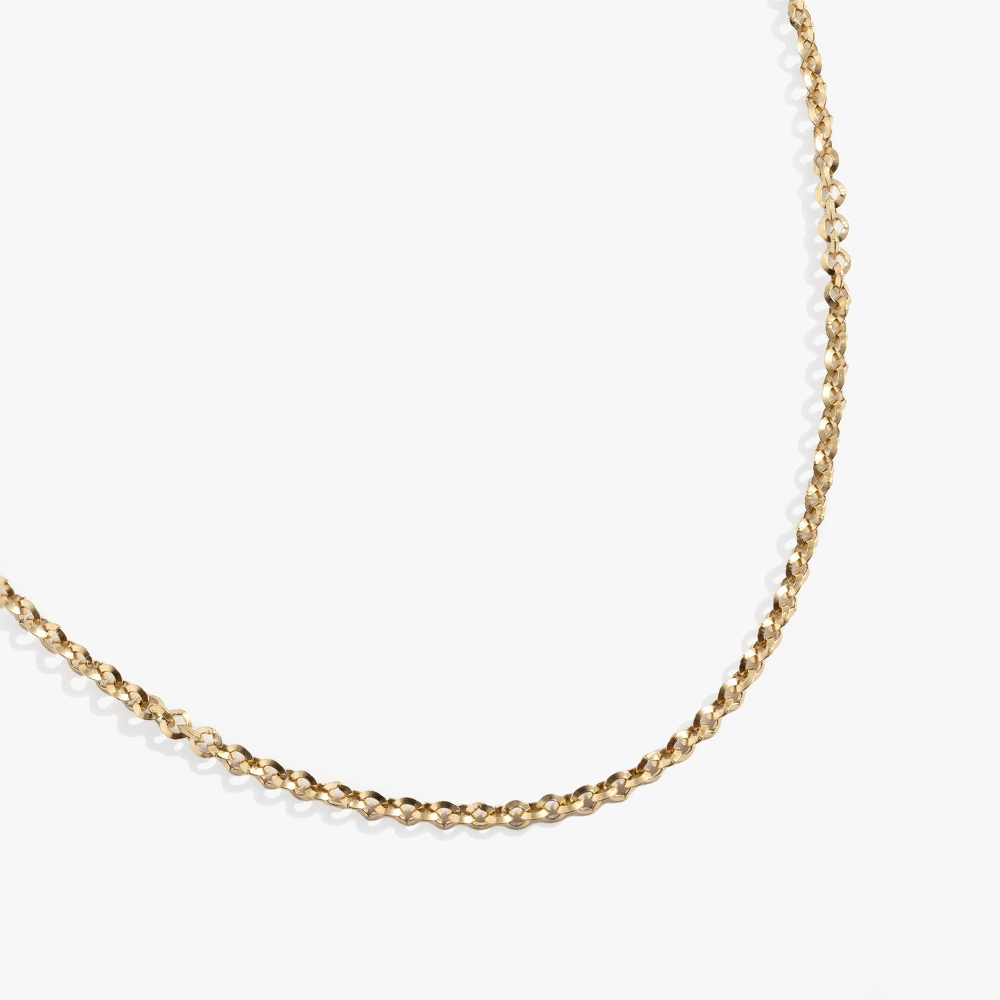 Faceted Rolo Charm & Layering Necklace - Alex and Ani