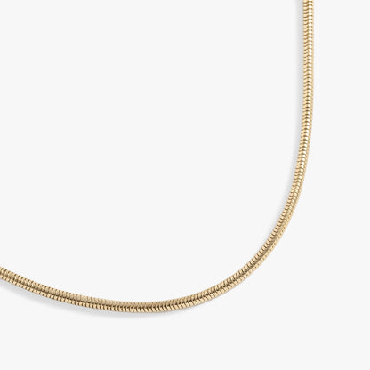Round Herringbone Charm & Layering Necklace - Alex and Ani - Front View