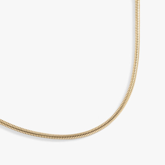 Round Herringbone Charm & Layering Necklace - Alex and Ani - Front View