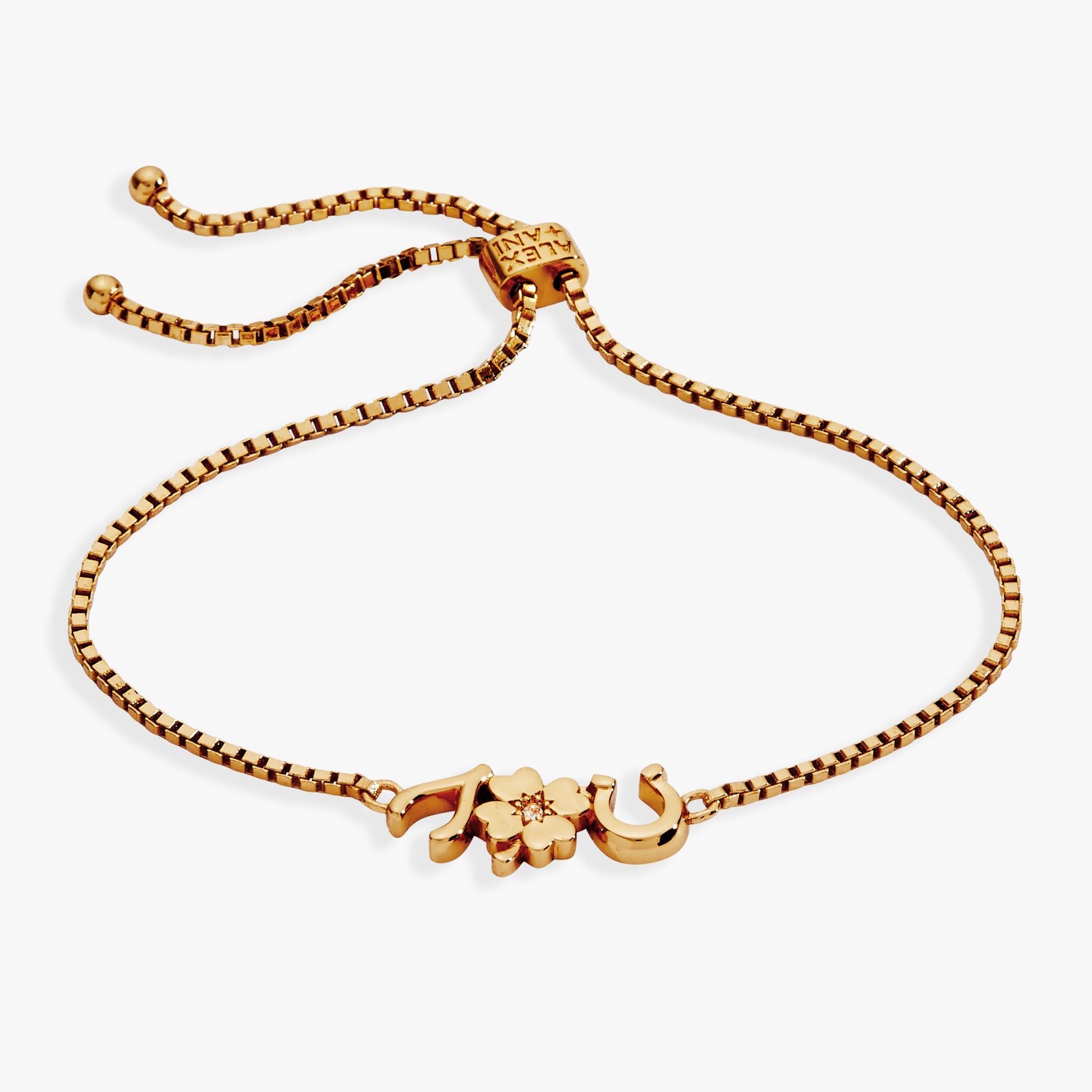 Lucky Symbol Bolo Bracelet - Alex and Ani - Side View