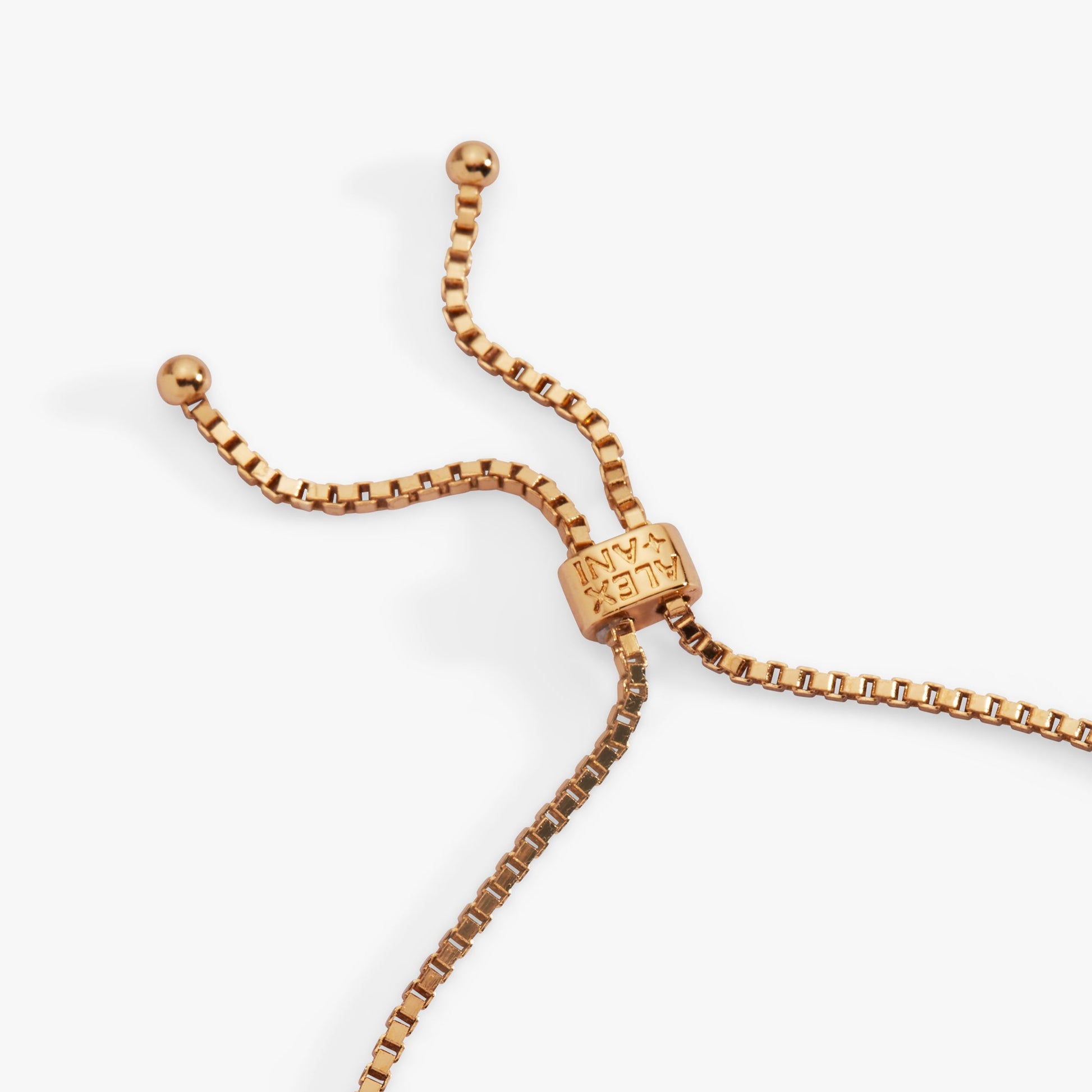 Lucky Symbol Bolo Bracelet - Alex and Ani - Detail View 5