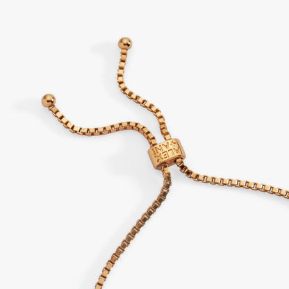 Lucky Symbol Bolo Bracelet - Alex and Ani - Detail View 5