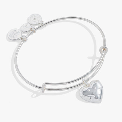 Silver Metal Heart Charm Bangle - Alex and Ani - Front View
