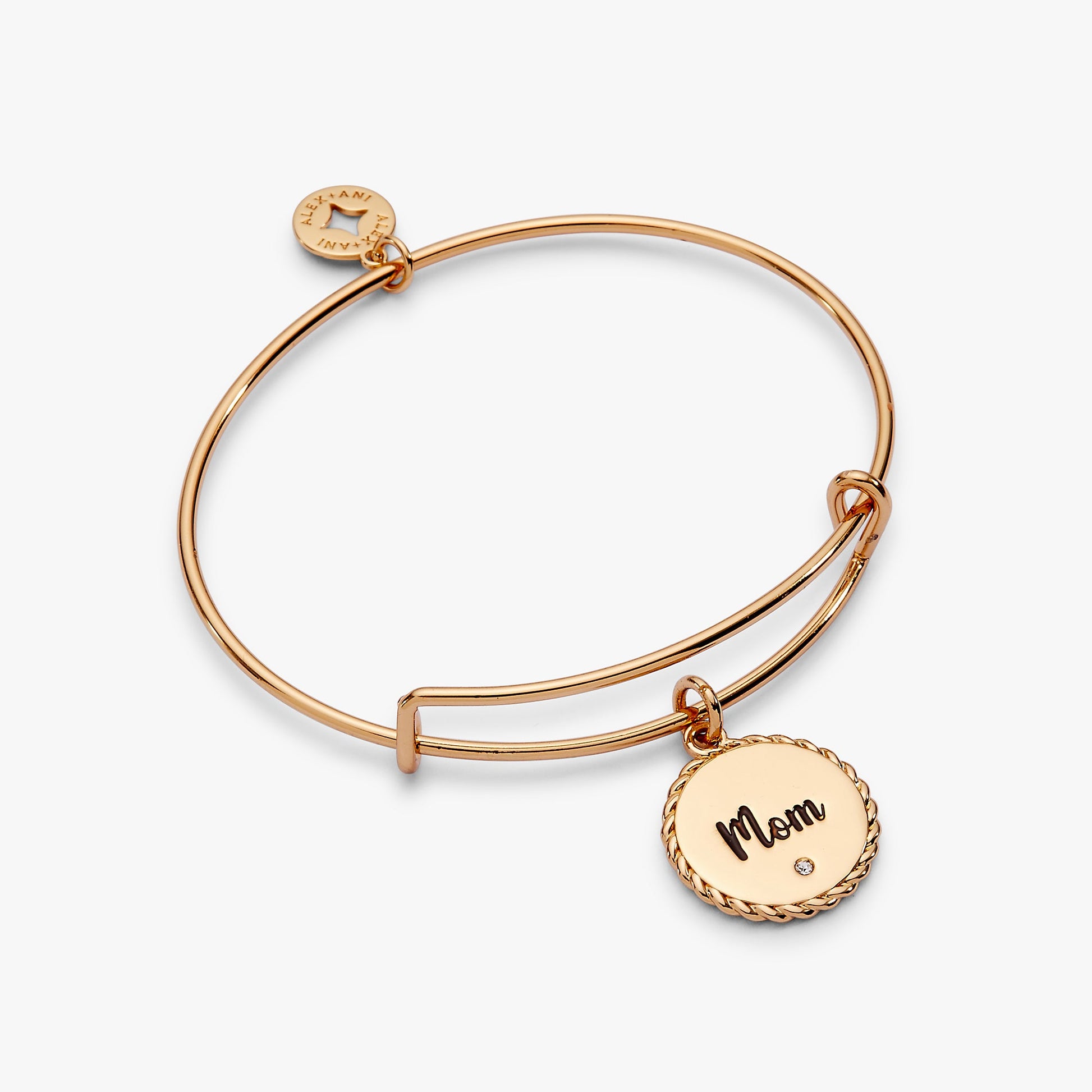 Mom 'Bonded By Love, Connected For Life' Charm Bangle - Alex and Ani - Front View