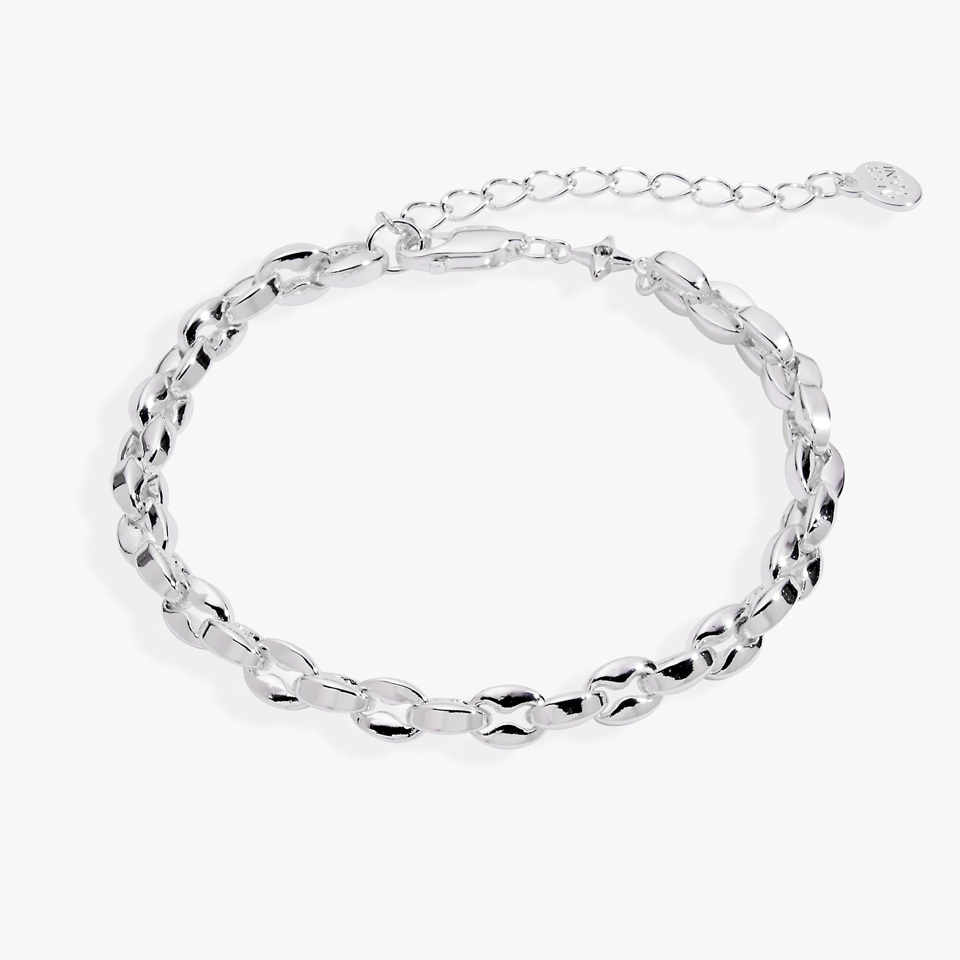 Puffy Rope Chain Bracelet - Alex and Ani - Front View